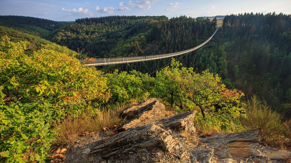 Hängeseilbrücke in einem sehr waldigen Gebiet