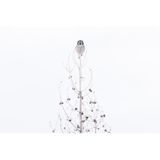 Professional Honorable Mention: Liron Gertsman