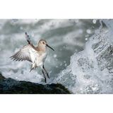 Youth Award Winner: Kieran Barlow