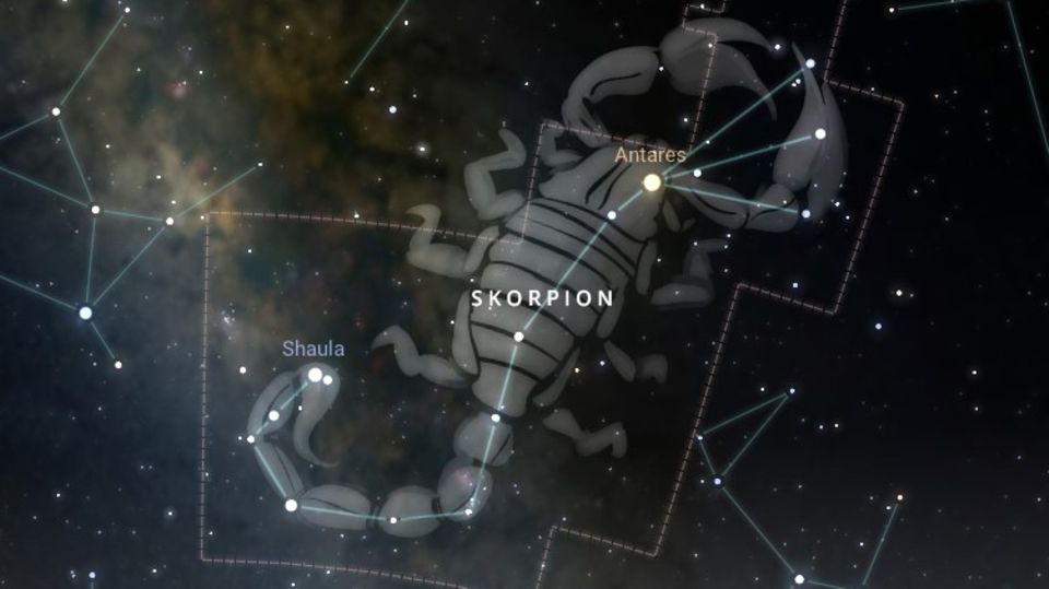 Sternbild "Skorpion"