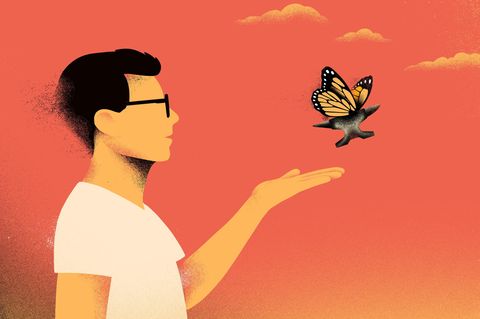 Amboss fliegt als Schmetterling davon