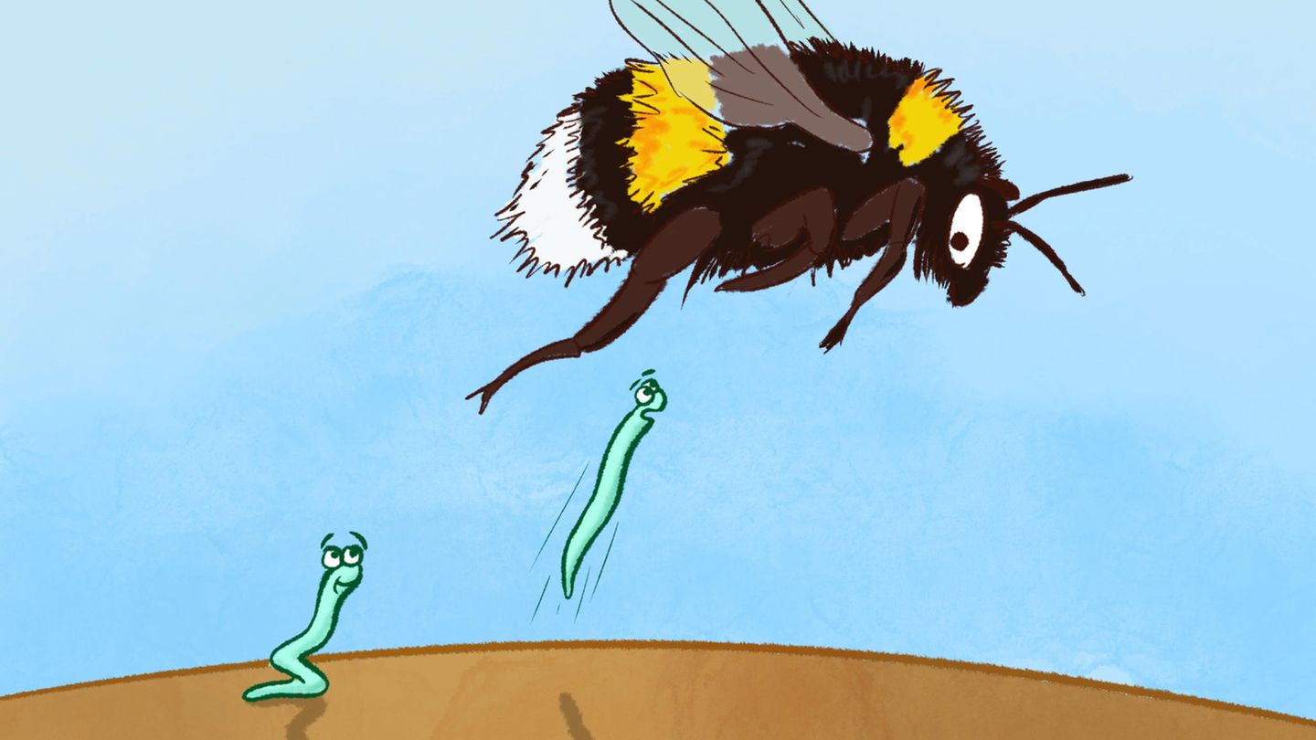 Fadenwürmer lassen sich von elektrostatischen Kräften anziehen, um Hummeln als Taxi zu benutzen