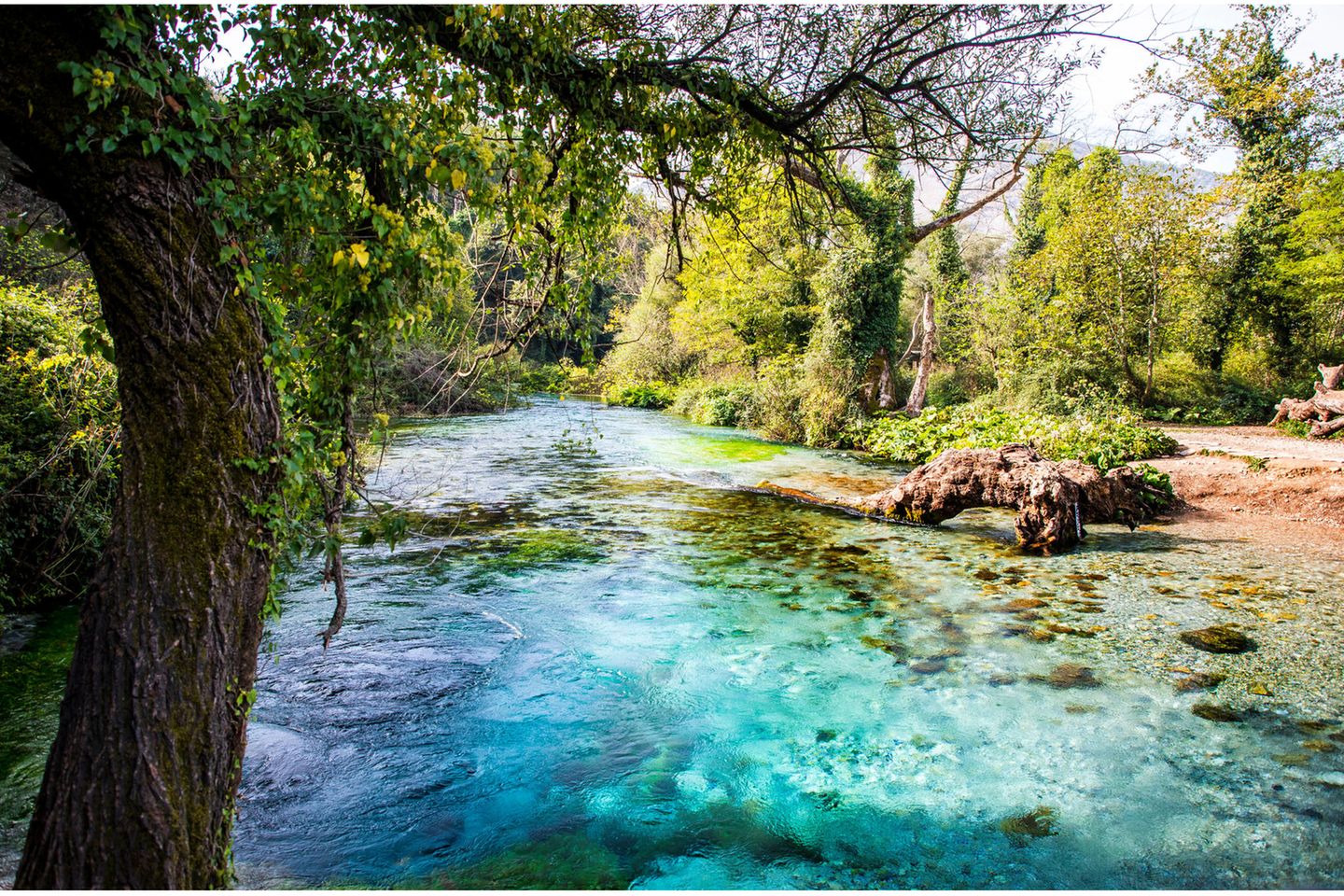 Syri i Kaltër, das „Blaue Auge“ ¬ – Albaniens schönstes Naturwunder Türkisblaues Wasser umgeben von vielen grünen Pflanzen