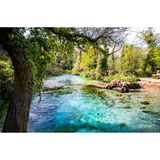 Türkisblaues Wasser umgeben von vielen grünen Pflanzen