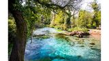 Türkisblaues Wasser umgeben von vielen grünen Pflanzen