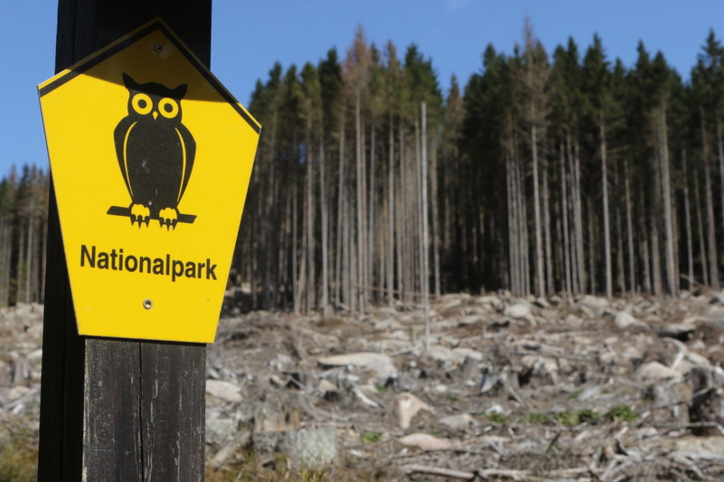 Was strenge Naturschutzgebiete angeht, liegt Deutschland im EU-Vergleich auf dem drittletzten Platz