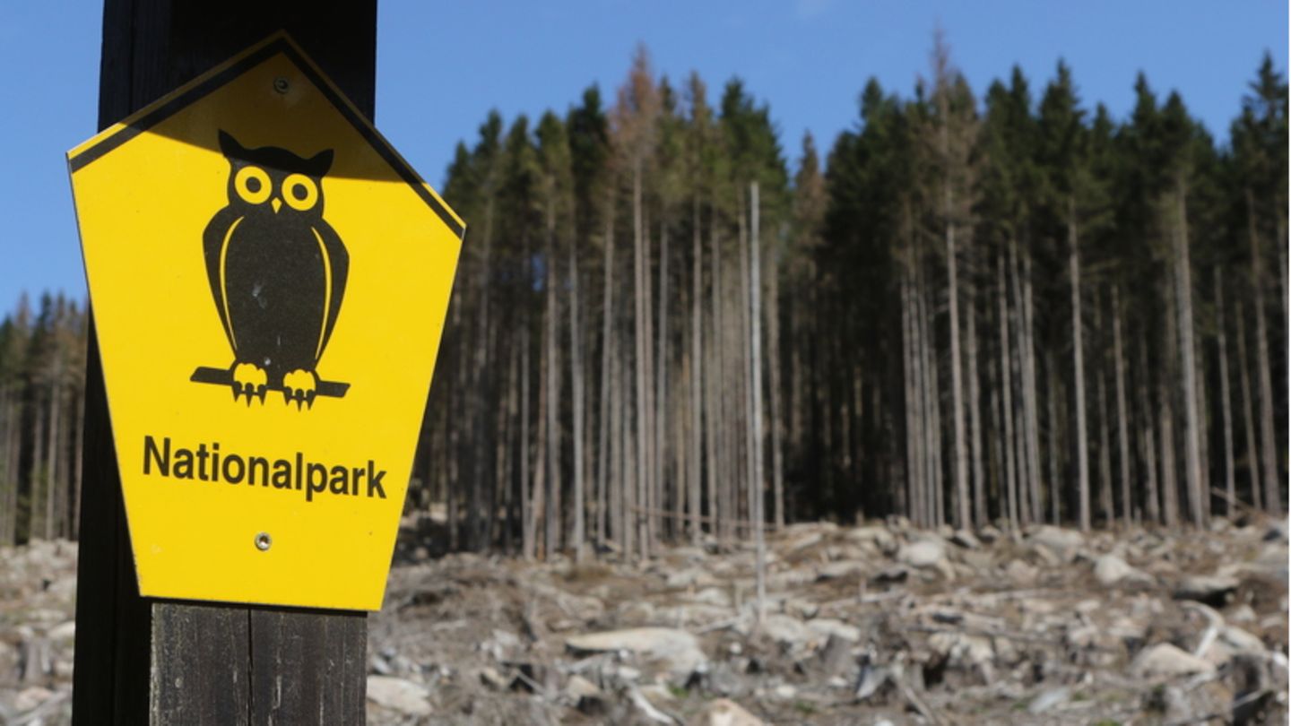 Deutschland ist fast EUSchlusslicht, was Naturschutzgebiete angeht [GEO]