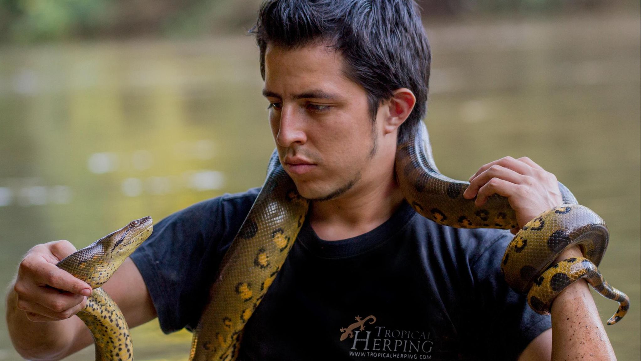 Schlange hautnah: Der Fotograf hat bisher zwei Bücher über die Reptilien Ecuadors veröffentlicht