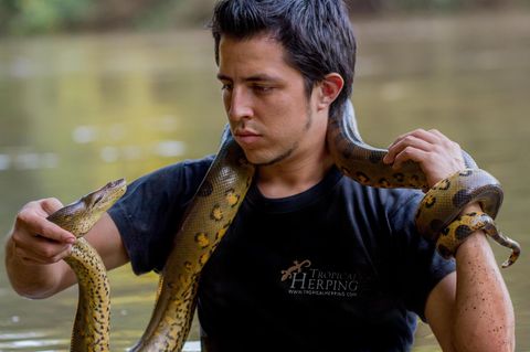 Schlange hautnah: Der Fotograf hat bisher zwei Bücher über die Reptilien Ecuadors veröffentlicht