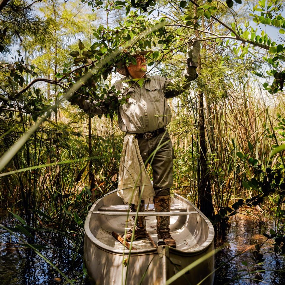Tom Rahill navigiert sein Boot zu einer Insel in den Sümpfen der Everglades, er kennt die Gegend wie nur wenige Menschen. Und weiß deshalb um den Schaden, den Tigerpythons anrichten: Fast alle Waschbären, Opossums, Luchse, Kaninchen und Füchse sind in den Mägen der Schlangen verschwunden