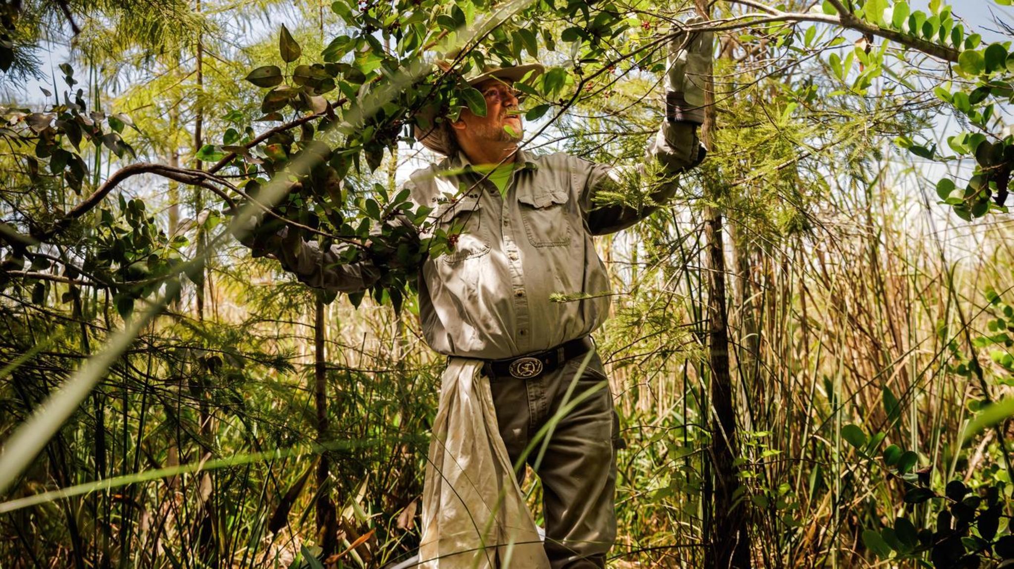 Tom Rahill navigiert sein Boot zu einer Insel in den Sümpfen der Everglades, er kennt die Gegend wie nur wenige Menschen. Und weiß deshalb um den Schaden, den Tigerpythons anrichten: Fast alle Waschbären, Opossums, Luchse, Kaninchen und Füchse sind in den Mägen der Schlangen verschwunden