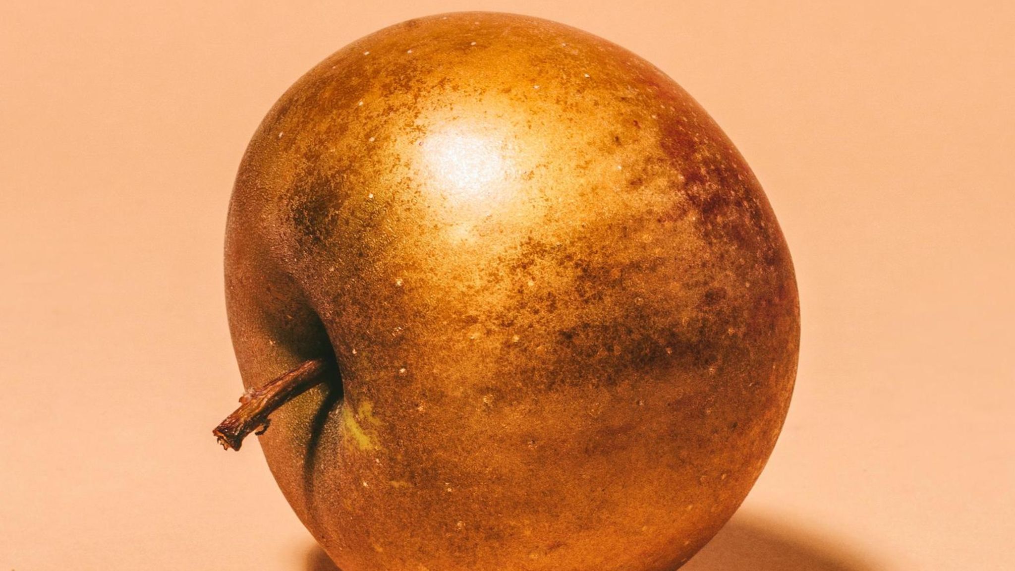Zabergäu Renette, Deutschland, 1885 Er wurde nicht gezüchtet, sondern zufällig entdeckt, am Ufer des Flüsschens Zaber, seinerzeit im Königreich Württemberg. Ein zimtbrauner Rost überzieht seine Fruchthaut, poliert und im richtigen Licht verleiht er dem großen Apfel güldenen Glanz. Im Mund verliert er leider von seinem Zauber: Das Fruchtfleisch ist zwar saftig, die Schale aber etwas pelzig, als würde man auf einer Kiwi mit Schale kauen. Kochen Sie ihn ein, zu Mus oder Kompott. Oder backen Sie einen goldenen Apfelkuchen