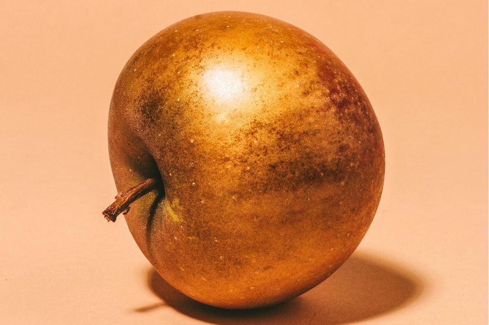 Zabergäu Renette, Deutschland, 1885 Er wurde nicht gezüchtet, sondern zufällig entdeckt, am Ufer des Flüsschens Zaber, seinerzeit im Königreich Württemberg. Ein zimtbrauner Rost überzieht seine Fruchthaut, poliert und im richtigen Licht verleiht er dem großen Apfel güldenen Glanz. Im Mund verliert er leider von seinem Zauber: Das Fruchtfleisch ist zwar saftig, die Schale aber etwas pelzig, als würde man auf einer Kiwi mit Schale kauen. Kochen Sie ihn ein, zu Mus oder Kompott. Oder backen Sie einen goldenen Apfelkuchen 0.7661