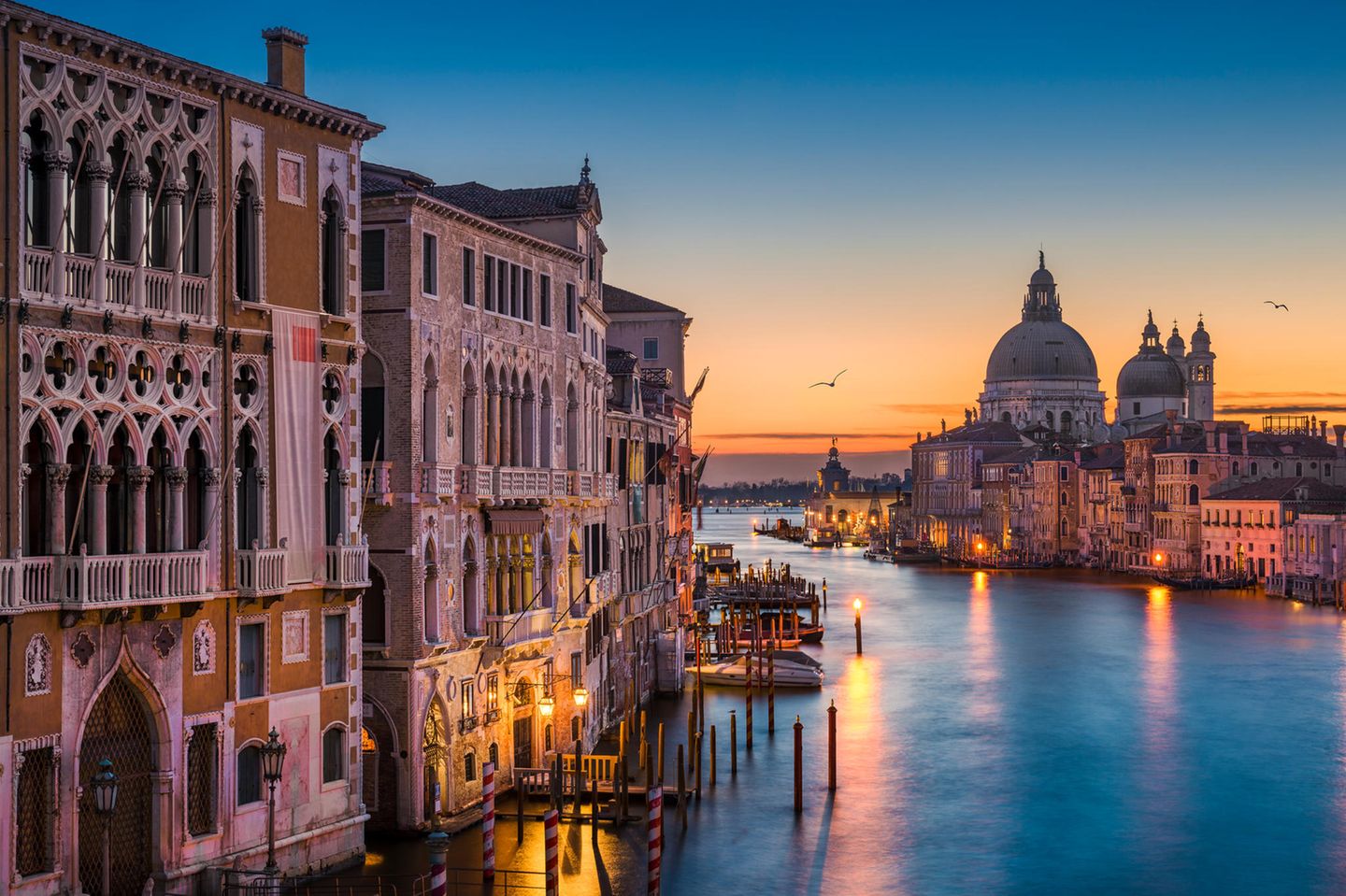 Platz 2: Venedig – Zu Fuß durch die Lagunenstadt Canal Grande bei Nacht mit der Basilika Santa Maria della Salute, Venedig, Italien