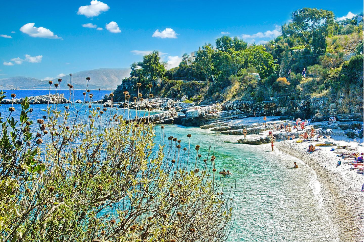 Kassiopi