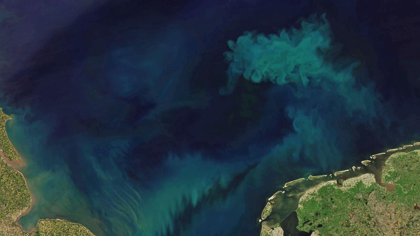 Um die Veränderung der Ozeanfarbe zu beobachten, analysierten die Forschenden die Messungen des Moderate Resolution Imaging Spectroradiometer (MODIS) an Bord des Aqua-Satelliten, der die Ozeanfarbe seit 21 Jahren überwacht