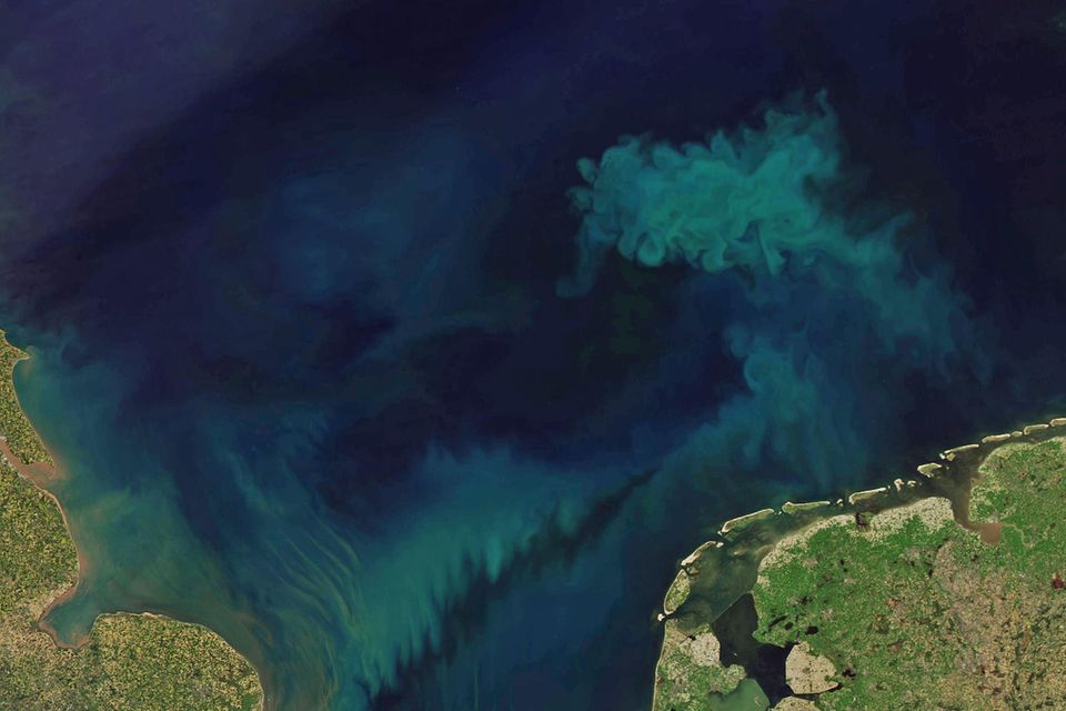 Um die Veränderung der Ozeanfarbe zu beobachten, analysierten die Forschenden die Messungen des Moderate Resolution Imaging Spectroradiometer (MODIS) an Bord des Aqua-Satelliten, der die Ozeanfarbe seit 21 Jahren überwacht