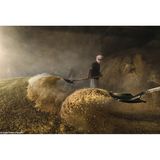 "Food for their Animals"