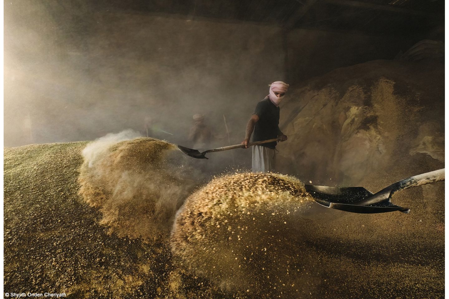 "Food for their Animals"