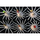 "Salt Farm Workers Harvesting"