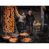 "Hanging Up Persimmons"