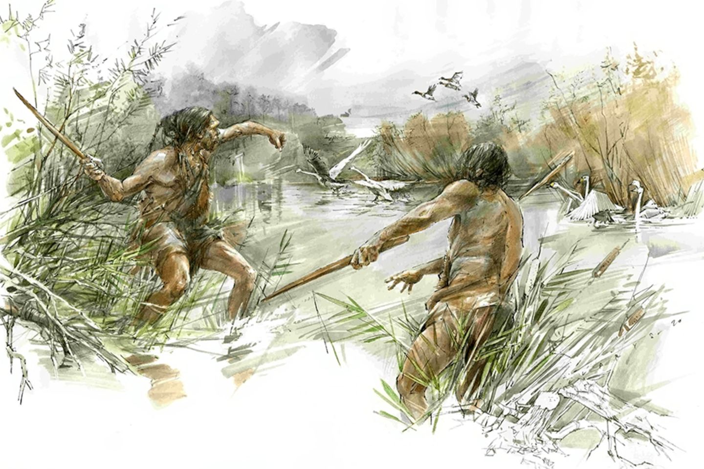 300.000 Jahre alte Jagd- und Handwerkskunst: Der Schöninger Wurfstock diente vermutlich zur Jagd auf mittelgroße und kleinere Tiere