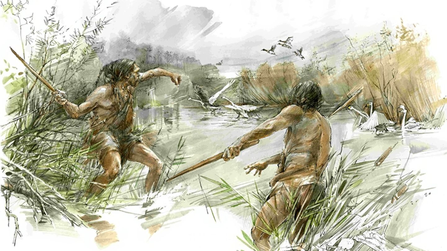 300.000 Jahre alte Jagd- und Handwerkskunst: Der Schöninger Wurfstock diente vermutlich zur Jagd auf mittelgroße und kleinere Tiere