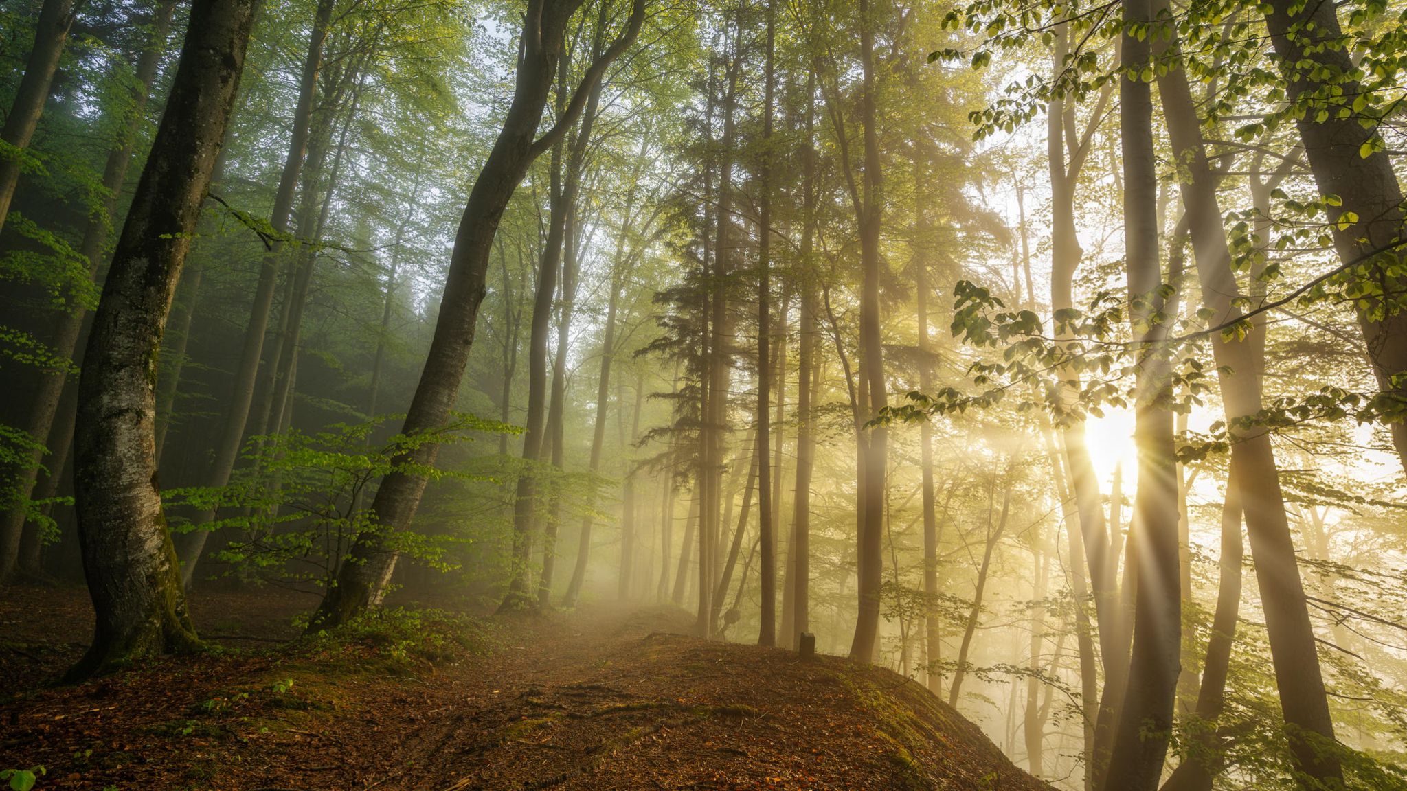 Unbedeutend und klein erleben wir uns im Angesicht erhabener Wildnis: ein wohltuender Moment, der Demut lehrt und Ruhe schenkt