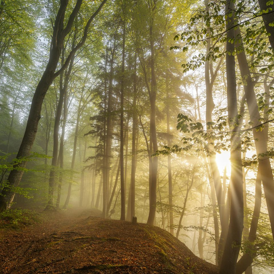Unbedeutend und klein erleben wir uns im Angesicht erhabener Wildnis: ein wohltuender Moment, der Demut lehrt und Ruhe schenkt