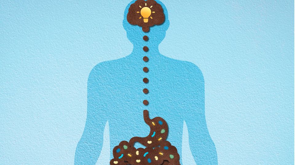 Illustration von Darm und Gehirn Illustration von Darm und Gehirn