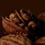 Nahaufnahme einer aufgebrochenen Walnuss