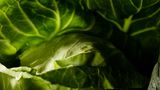 Grüner Kohl in Nahaufnahme