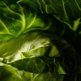 Grüner Kohl in Nahaufnahme