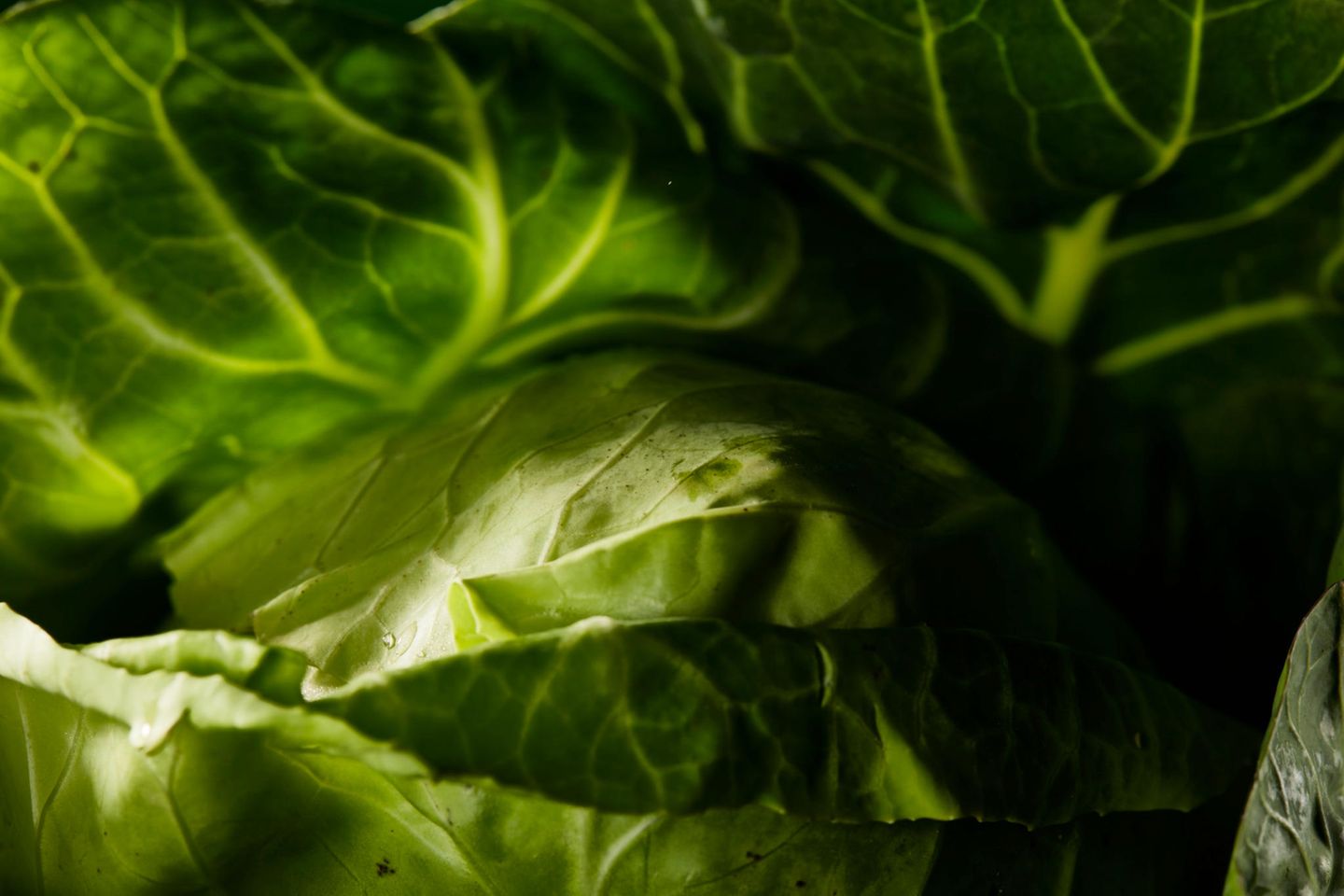 Grüner Kohl in Nahaufnahme
