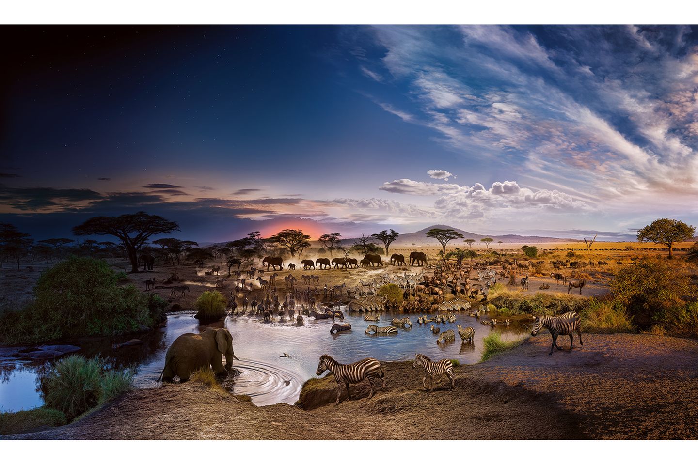 Serengeti National Park, Tanzania, 2015 Serengeti National Park, Tanzania, 2015