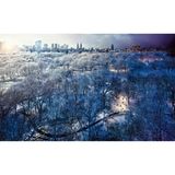 New Yorkers Central Park im Schnee