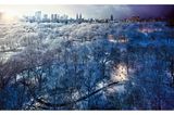 New Yorkers Central Park im Schnee