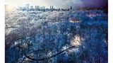 New Yorkers Central Park im Schnee