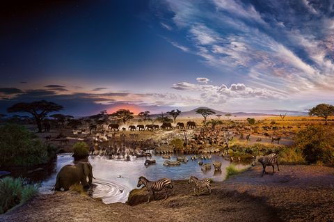 Tanzania Stephen Wilkes