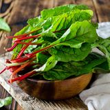 Mangold: Jetzt aussäen, im September genießen