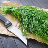 Dill kann jetzt noch ins Freiland