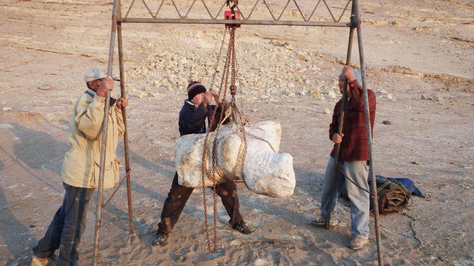 Forschende bergen die extrem schweren Knochen des Urwals, die sie in der südperuanischen Ica-Wüste gefunden haben