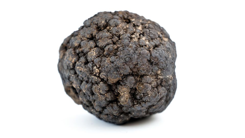 Eine Manganknolle aus dem Nordwest-Pazifik. Ihre Hauptbestanteile sind Silikate, Mangan- und Eisenoxide