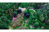 Blick von oben auf ein großes Anwesen mit vielen Bäumen und blühenden Rhododendren