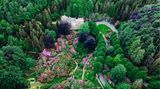 Blick von oben auf ein großes Anwesen mit vielen Bäumen und blühenden Rhododendren
