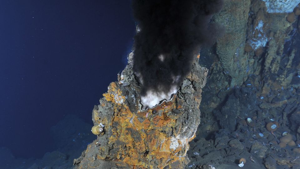 Die Schlote der Tiefsee: ein Schwarzer Raucher im Krater des Niua-Unterwasser­vulkans zwischen Fidschi und Samoa