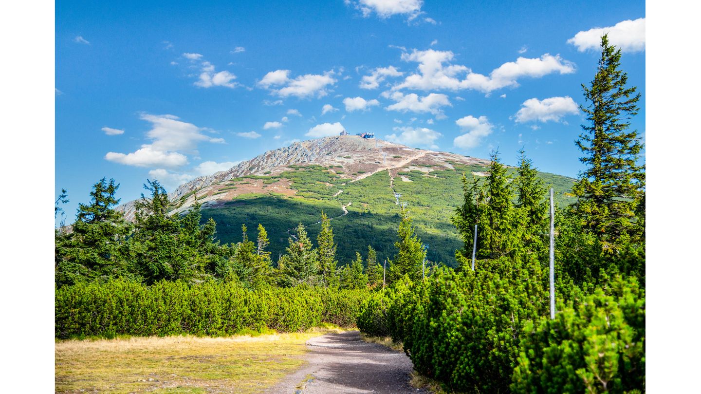 Die Schneekoppe im Nationalpark Riesengebirge – Hoch hinaus! Blick auf den höchsten Berg in Tschechien bei Sonnenschein mit einigen Wolken