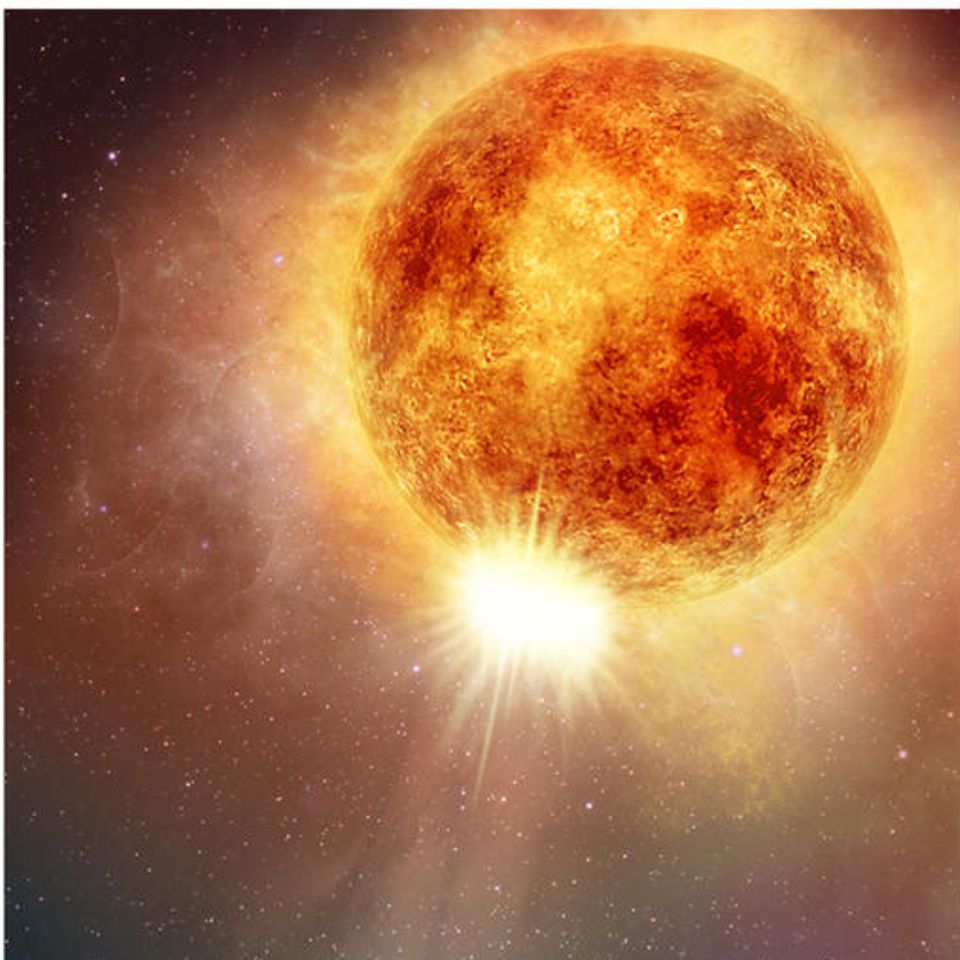 Beteigeuze ist ein Roter Riesenstern, der bis zu 19 Mal mehr Masse enthält als unsere Sonne