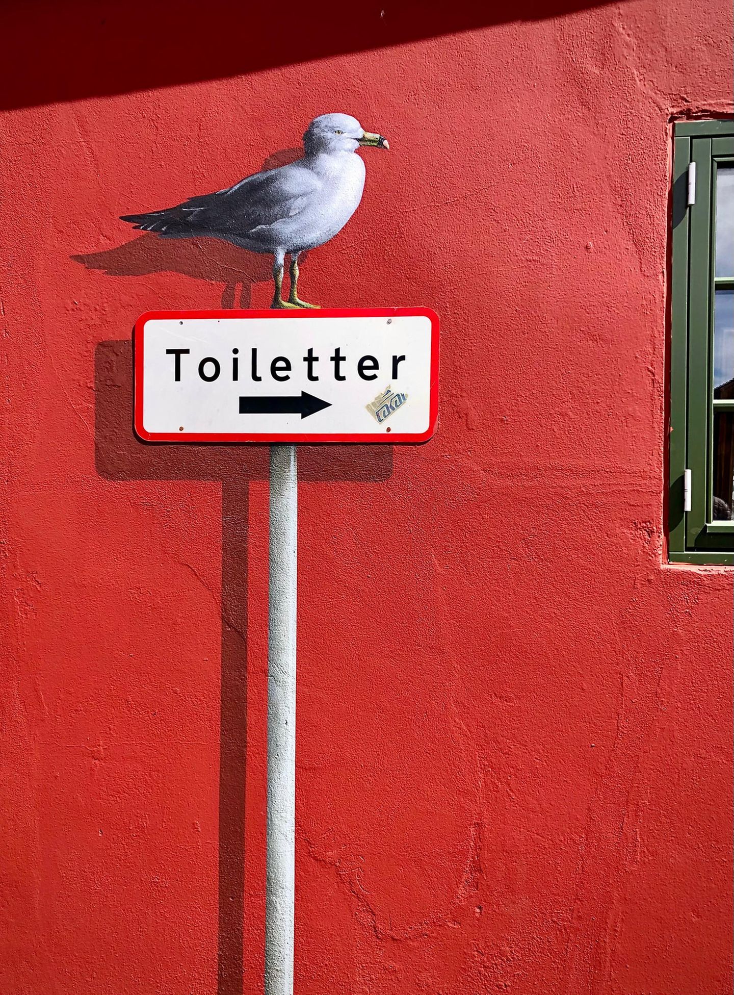 Möwe auf Schild