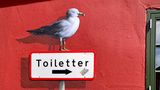 Möwe auf Schild